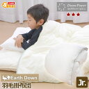 【日本製】アースダウン無地 ナチュラル羽毛掛け布団 ジュニアサイズ (TCNDJ)532P26Feb16 ss2506【羽毛布団 羽毛ふとん 掛布団 】