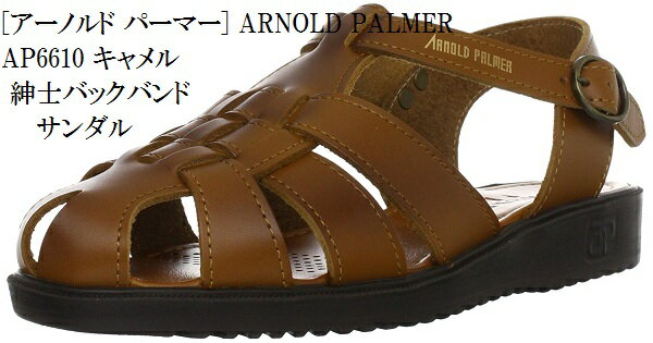 ɥ饤ӥ󥰥 ץХåХ  Arnold Palmer(Υɥѡޡ) AP-6611  ᥵ 