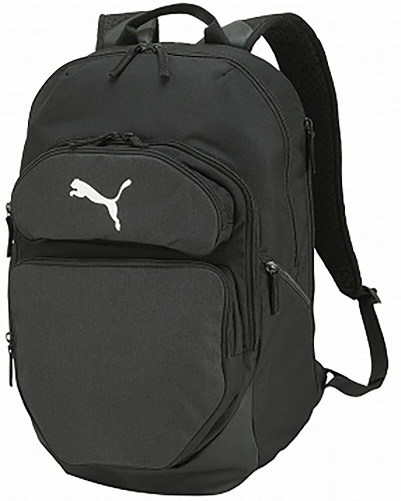 PUMA（プーマ） 079266 TEAMFINAL＿バックパック＿35L TEAMFINAL バックパック 35L