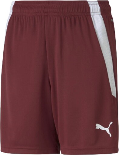PUMA(プーマ) 705145 TEAMLIGA_ゲームパンツ_JR TEAMLIGA ゲームパンツ JR PUMA(プーマ) 705145 TEAMLIGA_ゲームパンツ_JR TEAMLIGA ゲームパンツ JR
