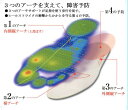 SORBO(ソルボ) 61064 DSISソルボヘルシーハーフインソール＿L DSISソルボヘルシー ハーフインソールタイプ L 3