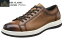 (ޥɥ饹)madras CB7023 BEE CLASSIC ܳ GORE-TEX 졼åץӥͥ奢륷塼 եޥ뤫饫奢ޤ 