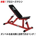 フラットインクラインベンチ −TRUST 《極太パイプ使用!》 / 筋トレ ダンベルトレーニ