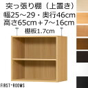 上置き(本棚・書棚) オーダーメイド 幅15~29 奥行き46(ラージ) 高さ65cm(棚板1.7cm厚標準)
