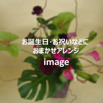 ޤ 5,500ߡڻڻС˭ʿ̵(¾ζͭ)ۡڻڰʳϡ[](͹)٤ͭ