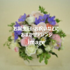 https://thumbnail.image.rakuten.co.jp/@0_mall/f-saika/cabinet/01589179/01598995/imgrc0075113656.jpg