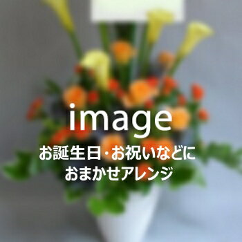 おまかせアレンジ11,000円【札幌市白石・豊平・中央区は送料無料(その他の区は送料有)】【札幌以外は『..