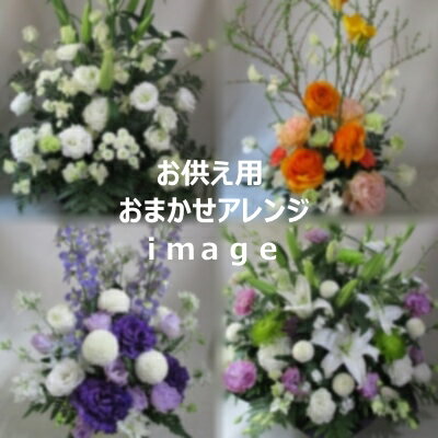 お供えアレンジ8 800円 札幌市内 宅配便 特定送料 は送料無料 花 観葉植物 宅配 札幌以外は 宅配便 特定送料 日本郵便 で別途送料有 あす楽対応 北海道 あす楽対応 観葉植物 東北 供花 北海道 フローリスト彩花 メッセージカード無料 画像配信