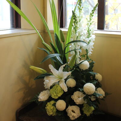 �ؤ���������󥸡ڼ���ۡ١ڻ��ڻ����С�˭ʿ������������̵��(����¾�ζ������ͭ)�ۡڻ��ڰʳ��ϡ�������[��������](����͹��)�٤���������ͭ�ۡڶ���/�̳�ƻ��