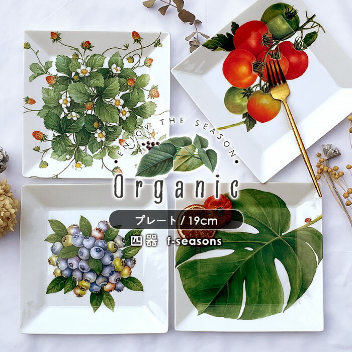 ٤4ۡOrganic꡼ۻͳ滮 19cm   ǻ ο ͳѻ  ѻ 滮 ץ졼 ץ졼 ǥȥץ졼 ѥץ졼     ٥֥ ʪ ե롼 ե ե ץ쥼