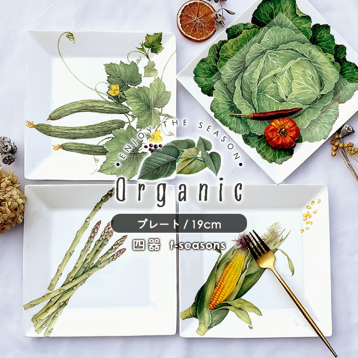 ٤4ۡOrganic꡼ۻͳ滮 19cm   ǻ ο ͳѻ  ѻ 滮 ץ졼 ץ졼 ǥȥץ졼 ѥץ졼     ٥֥ ʪ ե롼 ե ե ץ쥼