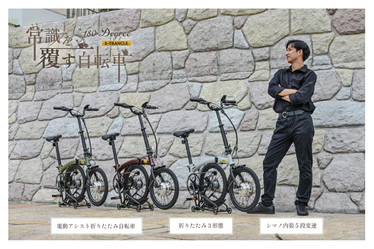 【セール価格】折りたたみ電動アシスト自転車 16インチ 完成品 アルミ製【指定エリ...