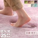 【正午~クーポン5%引】 今旬「くすみ」カラー 低反発ラグ 抗菌 防ダニ 極厚 25mm 130×185 防音 防ダニ ホットカーペット対応 低反発 ラグ フランネルラグ ラグ ラグマット マット 3畳 厚手 滑り止め付 床暖房 長方形 カーペット 絨毯 低反発 おしゃれ 北欧