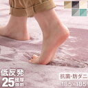 【正午~クーポン5%引】 今旬「くすみ」カラー 低反発ラグ 抗菌 防ダニ 極厚 25mm 185×185 防音 防ダニ ホットカーペット対応 低反発 ラグ フランネルラグ ラグ ラグマット マット 3畳 厚手 滑り止め付 床暖房 正方形 カーペット 絨毯 低反発 おしゃれ 北欧