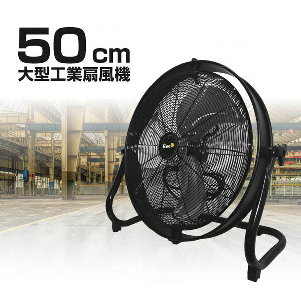 Ķ ϥѥ  緿 50cm ̳ ֤  󿶤  졼    緿...
