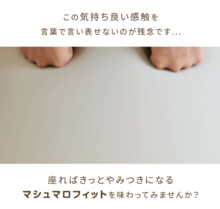 マシュマロフィット 超極小ビーズ ギガ盛6.0kg ビーズクッション マイクロビーズ 0.5mm 特大 二人掛け 洗える カバー ソファ ソファー 座椅子 ビーズソファ ビーズ クッション ローソファー ソファーベッド リモートワーク [3]