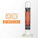 《送料無料》 転倒防止 カーボン...