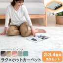 【本日5%OFFクーポン】 ラグ×ホットカーペット2点セット ラグ ホットカーペット セット 2畳 3畳 4畳 洗える 軽量 滑り止め付 ラグマット 冬 カーペ...
