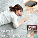極厚 25mm 高反発 ラグ + 遠赤 ホットカーペット 2点セット 極厚2.5cm 速暖 ラグ 185×185cm 200×250cm 遠赤 電気カーペット 2畳 3畳 セット 遠赤カーボン 足元暖房 軽量 滑り止め付 冬 カーペット 正方形 四角 オールシーズン 秋 冬用