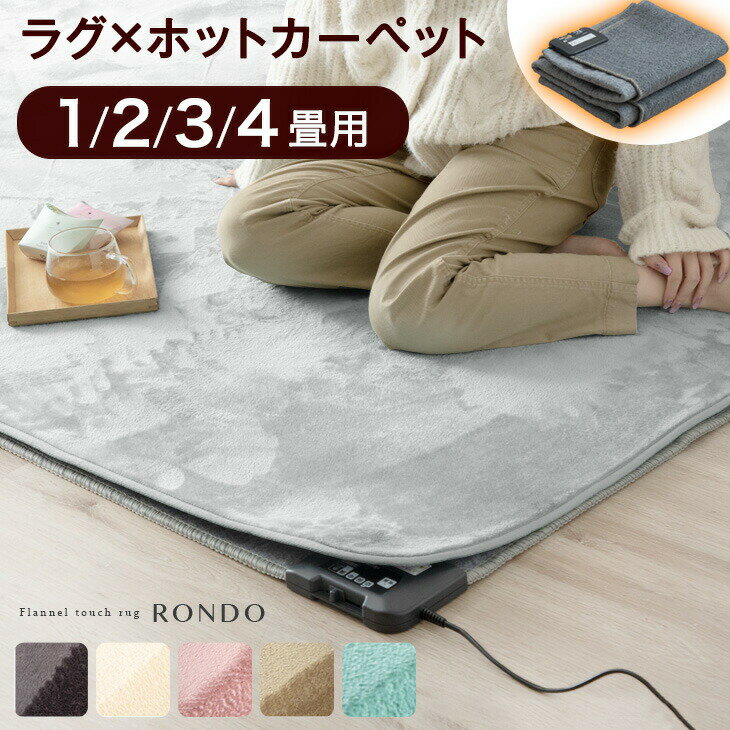【本日クーポン5%引】 ラグ×ホットカーペット2点セット ラグ ホットカーペット セット 2畳 3畳 4畳 洗..