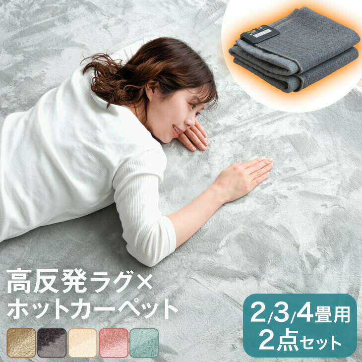 【4日20時~クーポン5%引】 ラグ+ホットカーペット2畳 3畳 4畳 極厚2.5cm 高反発 ラグ ...