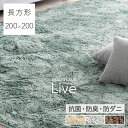  さらふわ手触り 洗えるシャギーラグ 200×200 抗菌 防臭 防ダニ 低ホル 洗える 防音 滑り止め ラグ ラグマット マット オールシーズン シャギー ウレタン 正方形 2畳 無地 カーペット じゅうたん リビング 北欧 おしゃれ 可愛い