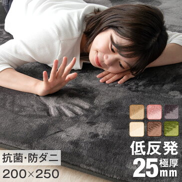 【20時〜4Hクーポン5%OFF】 極厚25mm 低反発ラグ 200×250 防音 防ダニ 3畳 ラグ 厚手 滑り止め付 オールシーズン 長方形 ラグマット マット カーペット フランネル マイクロファイバー 北欧 低反発 床暖房 ホットカーペット対応 おしゃれ 絨毯 じゅうたん