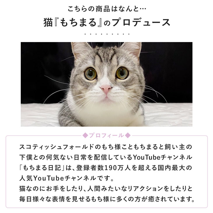 もちまる監修 今治タオル 3枚セット 34×80cm 日本製 380匁 もちタオル 今治 タオル 今治フェイスタオル 今治産 フェイスタオル フェイスタオルセット フェイス タオルセット コットンタオル 綿100% コットン 厚手 吸水 国産 3枚組 3枚 もちまる