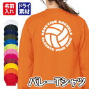 【バレーボール】スポーツ Tシャツ 長袖 ドライ メッシュ生地 速乾性 UVカット 全12色 140cm-5L