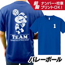 【アメリカン風デザイン】バレーボール ドライTシャツオーダーメイド オリジナル プリント/ユニフォーム ウェア クラス 学校 スポーツ 運動 部活 練習着 チーム名 野外 イベント 記念 応援 体育 クラス/速乾性 UVカット 紫外線カット ドライ 日焼け対策 半袖 ポップ その1