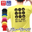 スポーツデザイン ドライTシャツ【バレーボール】オーダーメイド オリジナル プリント/ユニフォーム ウェア クラス 学校 スポーツ 運動 部活 練習着 チーム名 野外 イベント 記念 応援 体育 クラス/速乾性 UVカット 紫外線カット ドライ 日焼け対策 半袖 ポップ その1