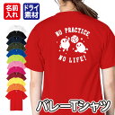 【バレーボール】スポーツ Tシャツ 半袖 ドライ メッシュ生地 速乾性 UVカット 全12色 120cm-5L