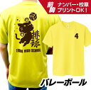 スポーツデザイン ドライTシャツ【バレーボール】オーダーメイド オリジナル プリント/ユニフォーム ウェア クラス 学校 スポーツ 運動..