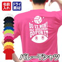 【バレーボール】スポーツ Tシャツ 半袖 ドライ メッシュ生地 速乾性 UVカット 全12色 120cm-5L