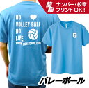 スポーツデザイン ドライTシャツ【バレーボール】オーダーメイド オリジナル プリント/ユニフォーム ウェア クラス 学校 スポーツ 運動 部活 練習着 チーム名 野外 イベント 記念 応援 体育 クラス/速乾性 UVカット 紫外線カット ドライ 日焼け対策 半袖 ポップ