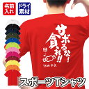 「サボるな!貪れ(むさぼれ)!!」メッセージ Tシャツ 半袖 ドライ メッシュ生地 速乾性 UVカット 全12色 120cm-5L