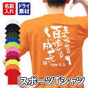 「五十歩でも百歩でも成長」メッセージ Tシャツ 半袖 ドライ メッシュ生地 速乾性 UVカット 全12色 120cm-5L