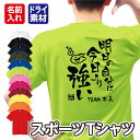 「明日の自分は今日より強い」メッセージ Tシャツ 半袖 ドライ メッシュ生地 速乾性 UVカット 全12色 120cm-5L
