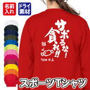 「サボるな!貪れ(むさぼれ)!!」メッセージ Tシャツ 長袖 ドライ メッシュ生地 速乾性 UVカット 全12色 140cm-5L