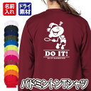 【バドミントン/アメリカン風デザイン】スポーツ Tシャツ 長袖 ドライ メッシュ生地 速乾性 UVカット 全12色 140cm-5L