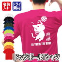 【避球(ドッジボール)/ネコちゃん】スポーツ Tシャツ 半袖 ドライ メッシュ生地 速乾性 UVカット 全12色 120cm-5L