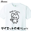 「チョビットやせます。」ダイエット 応援 Tシャツ 半袖 ドライ メッシュ生地 速乾性 UVカット 全9色 120cm-LL