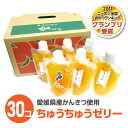 ちゅうちゅうゼリー(おまかせ)【30個セット】