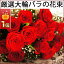 誕生日 プレゼント 花《★楽天1位★ バラ 本数・色 選べます!高品質バラ 花束 アレンジメント》月間優良ショップ 赤 女性 退職祝い 定年 送別会 ギフト 還暦祝い 還暦 お祝い フラワー 送別会 結婚式 ウェディング(1本 60本 100本 108本 でも)卒業式 母の日