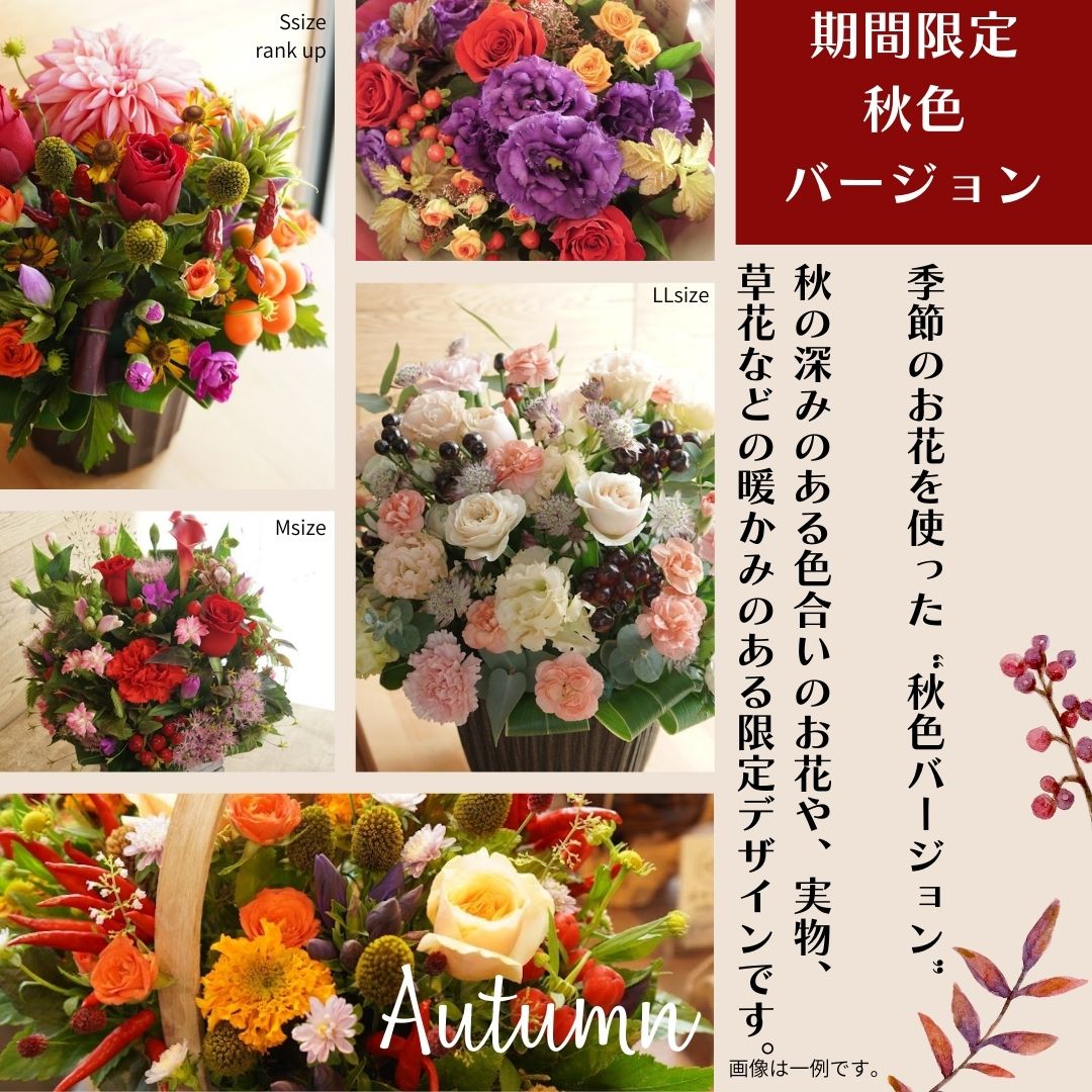 花束 おしゃれ 最短翌日配送 敬老の日 花 ギフト アレンジメント 送料無料 花束 ナチュラル系 生花 花束 誕生日 記念日 送別会 退職祝 開店祝い 定期演奏会 発表会 花束・アレンジが選べる 季節のおまかせ フラワーギフト S 誕生日 高評価 レビュー★4.6 安曇野 f-style1187-10000074 信州安曇野の花専門店Fstyle サンプル画像2