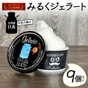 【ふるさと納税】北のハイグレード食品2023受賞・北海道日高★生乳の極み・みるくジェラート9個セット F6S-007