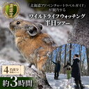 【ふるさと納税】道認定「北海道アドベンチャートラベルガイド」が案内するワイルドライフウォッチング半日ツアー 【4名様分体験チケット】 約3時間 F6S-047