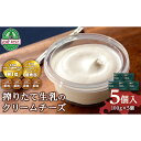 【ふるさと納税】トワ・ヴェール クリームチーズ 5個セット 乳製品 生クリーム 北のハイグレード食品 北海道 F6S-170