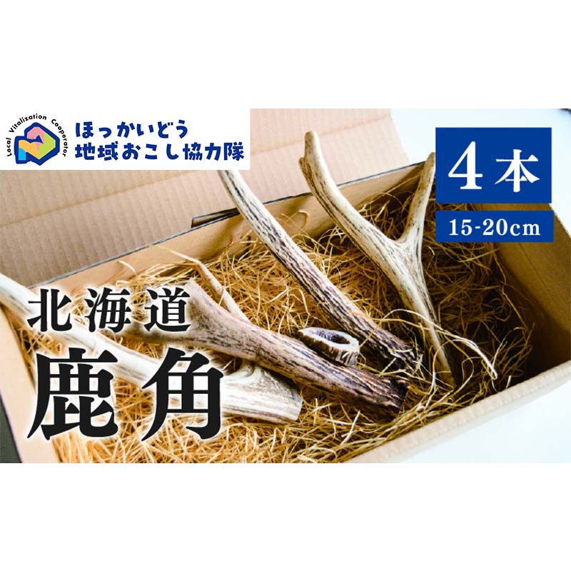 【ふるさと納税】 北海道湧別町産 鹿角（15〜20cm） 4本 地域おこし協力隊関連返礼品 F6S-224