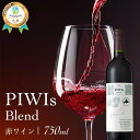 【ふるさと納税】 PIWIs Blend 《食絶景北海道×ゼロカーボンアワード2023大賞》 ワイン 赤ワイン F6S-352